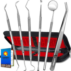 Premium Quality 6 Pcs Dental Kit Stainless Steel Silver 5.0