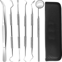 Premium Quality 6 Pcs Dental Kit Stainless Steel Silver 5.0